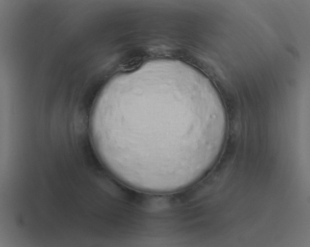 X0000116420081200912291857