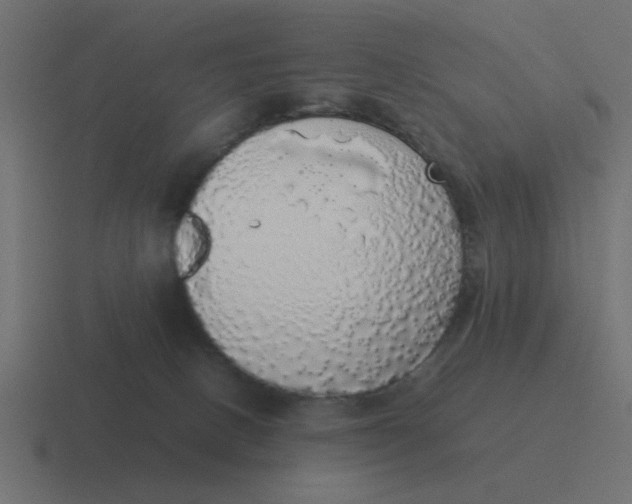 X0000116420082200912291857
