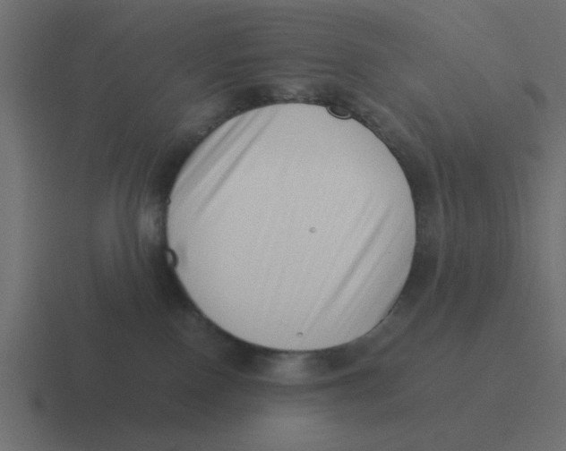 X0000116420090200912291857