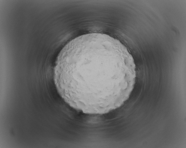 X0000116420093200912291857