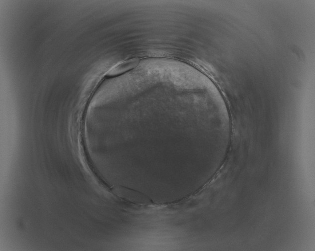 X0000116420097200912291856