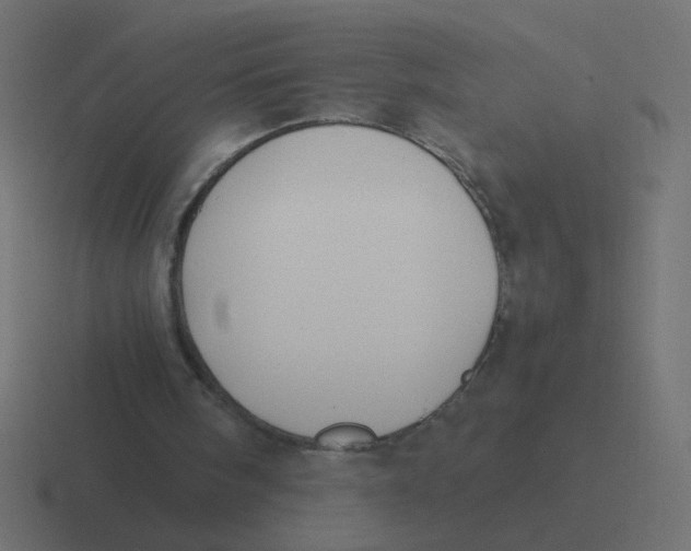 X0000116420098200912291856