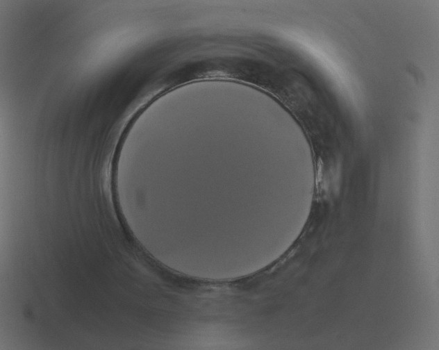 X0000116420099200912291856