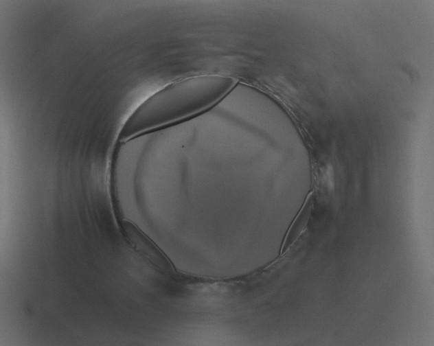 X0000116420100200912291856