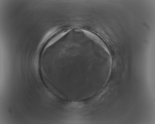 X0000116420101200912291856