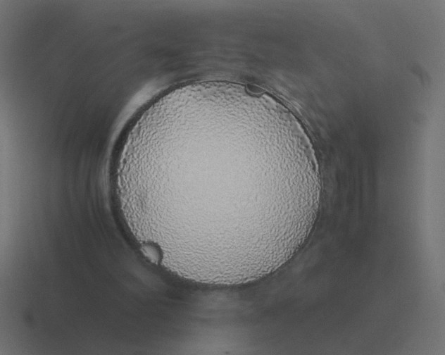 X0000116420102200912291856