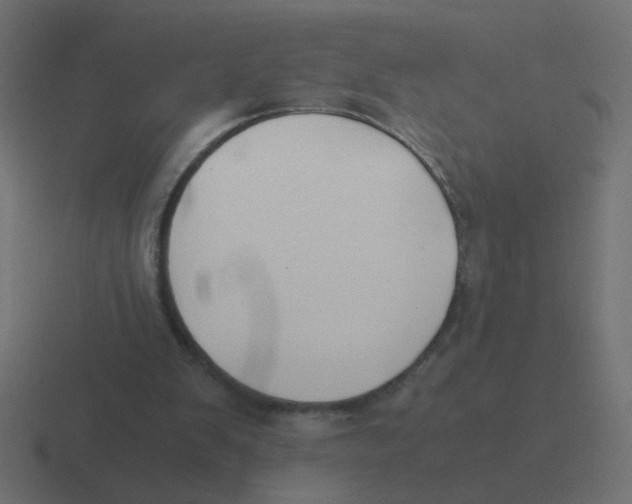 X0000116420103200912291856