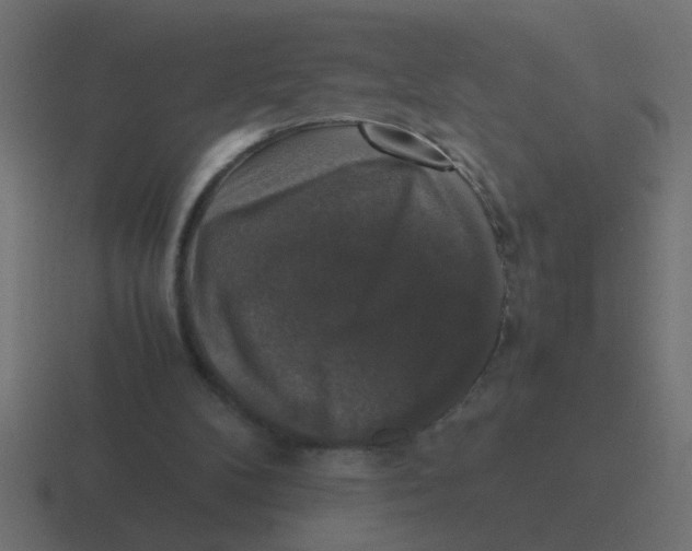 X0000116420104200912291856