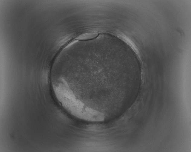 X0000116420105200912291856