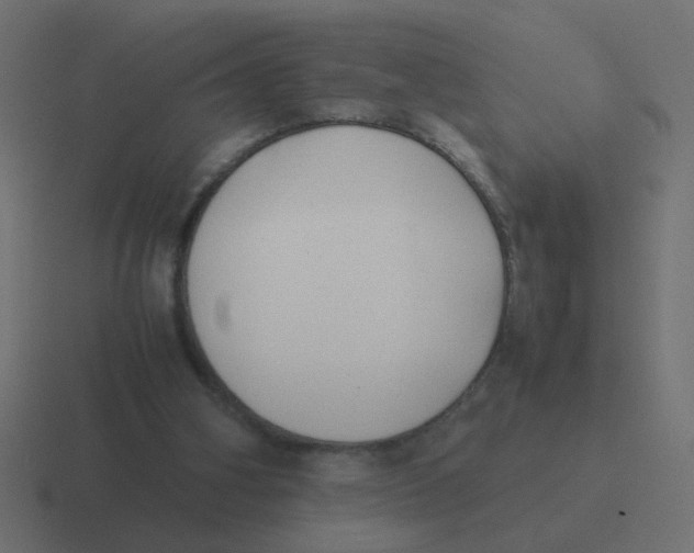 X0000116420106200912291856