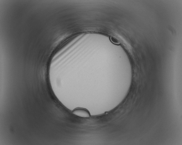 X0000116420107200912291856