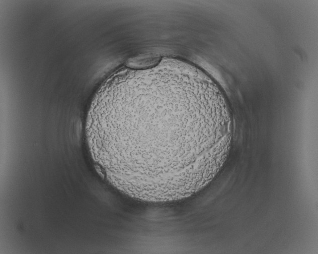X0000116420109200912291856
