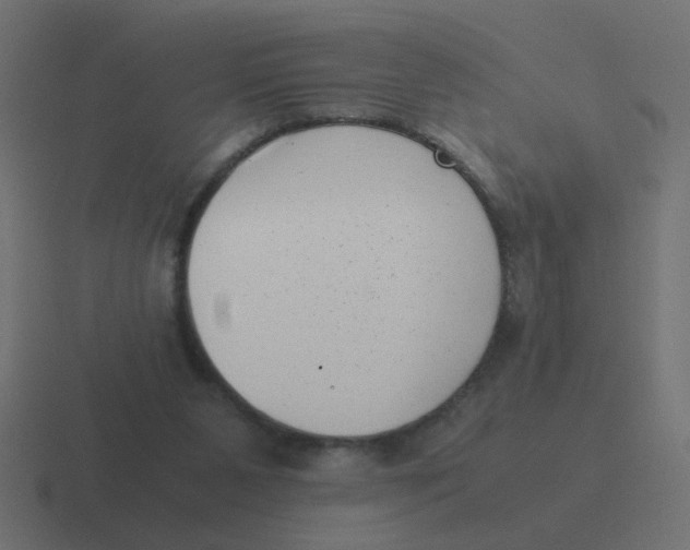 X0000116420111200912291856