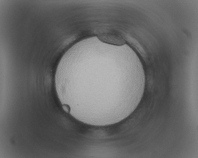 X0000116420113200912291856