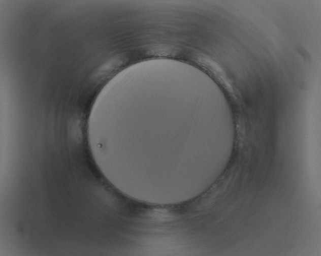 X0000116420114200912291856