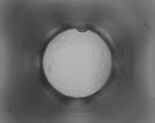 X0000116420115200912291856