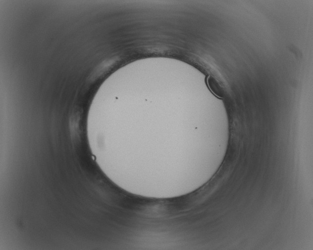 X0000116420116200912291856