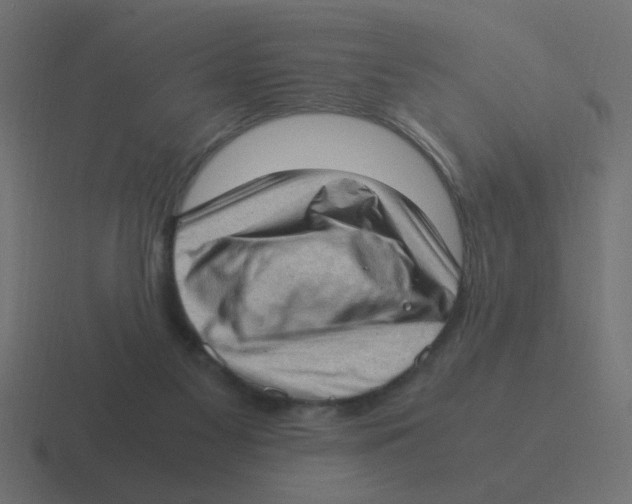 X0000116420117200912291856