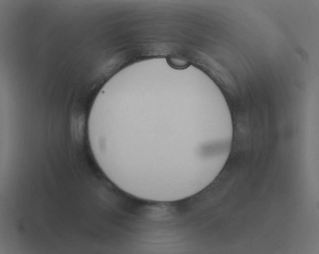 X0000116420118200912291856