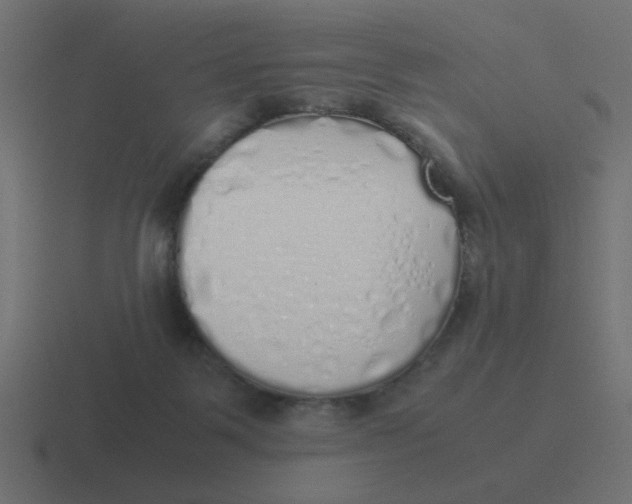 X0000116420123200912291856