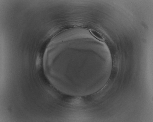 X0000116420124200912291856