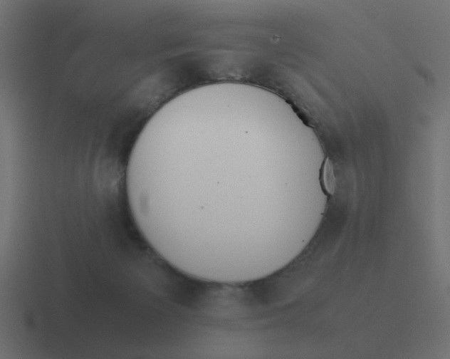 X0000116420125200912291856