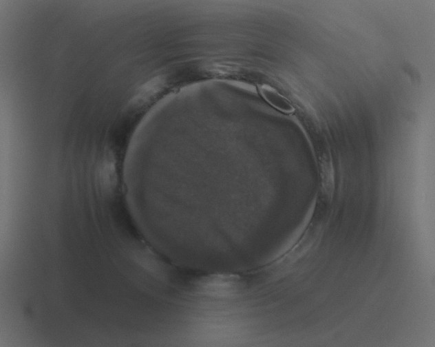 X0000116420128200912291856