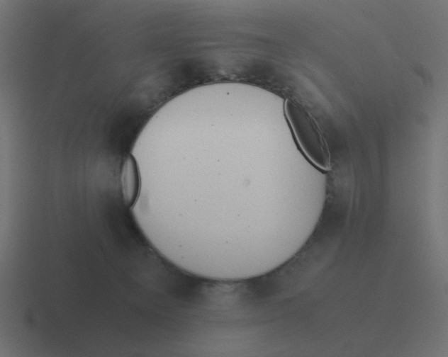X0000116420129200912291856