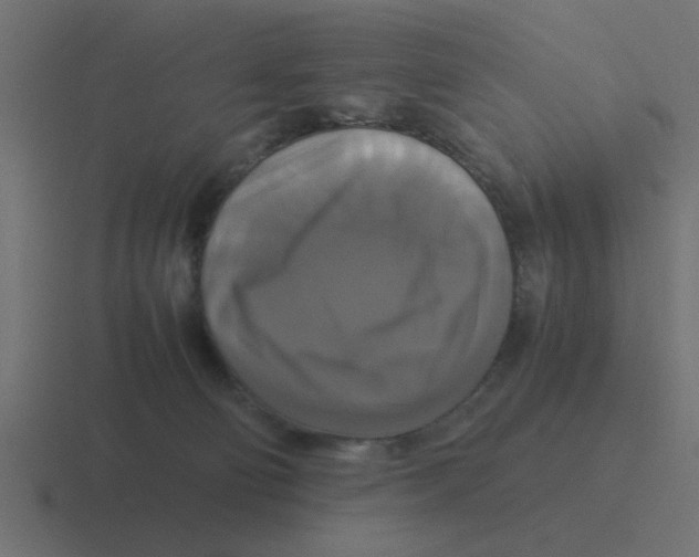 X0000116420130200912291856