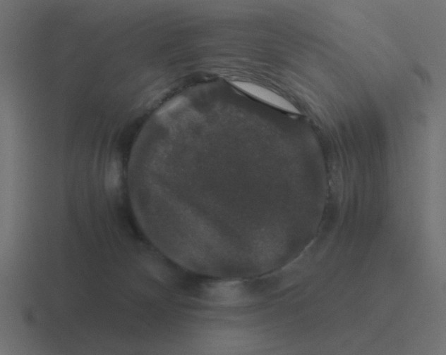 X0000116420132200912291856