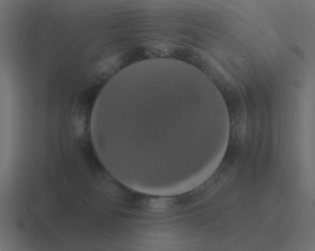 X0000116420134200912291856