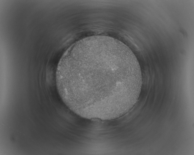 X0000116420136200912291856
