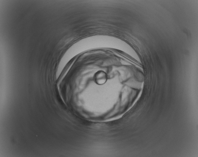 X0000116420137200912291856