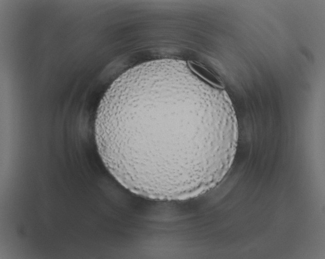 X0000116420140200912291856