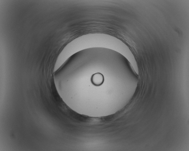 X0000116420141200912291856