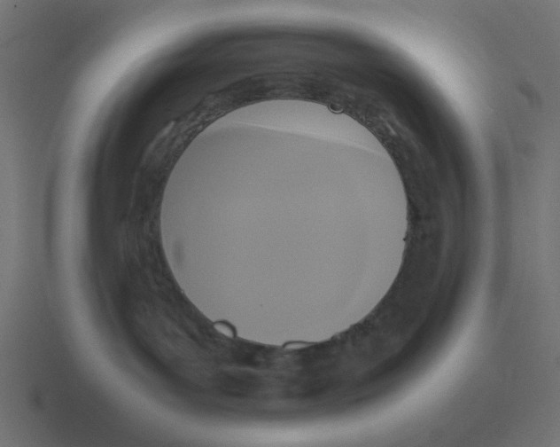 X0000116420143200912291856