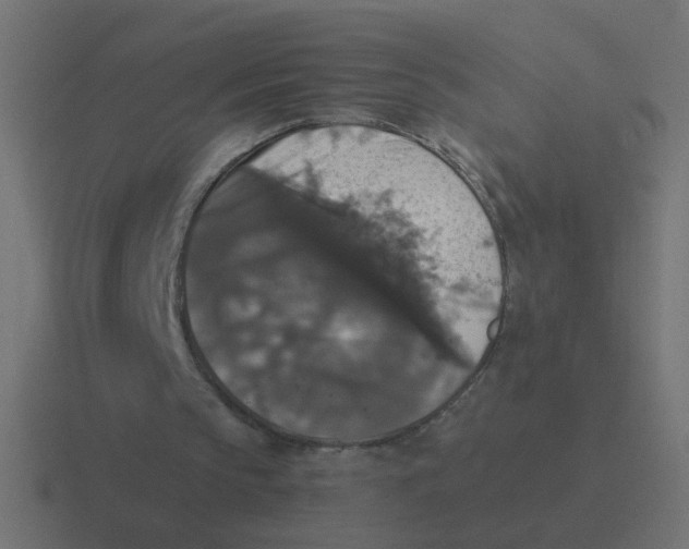 X0000116420145200912291855
