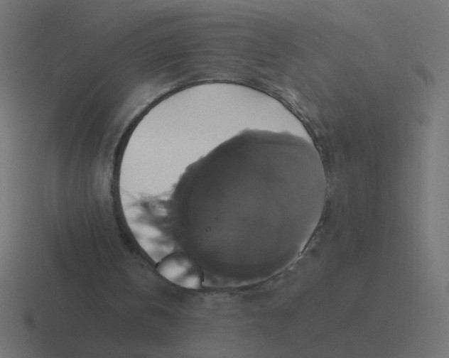 X0000116420146200912291855