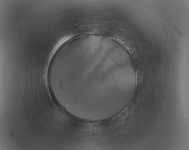 X0000116420147200912291855