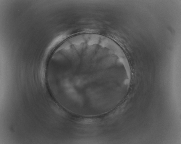 X0000116420149200912291855