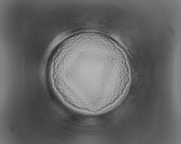 X0000116420151200912291855