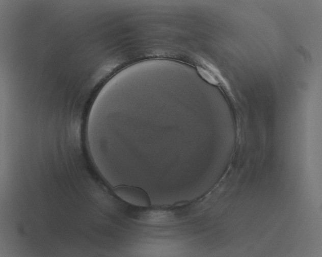 X0000116420154200912291855