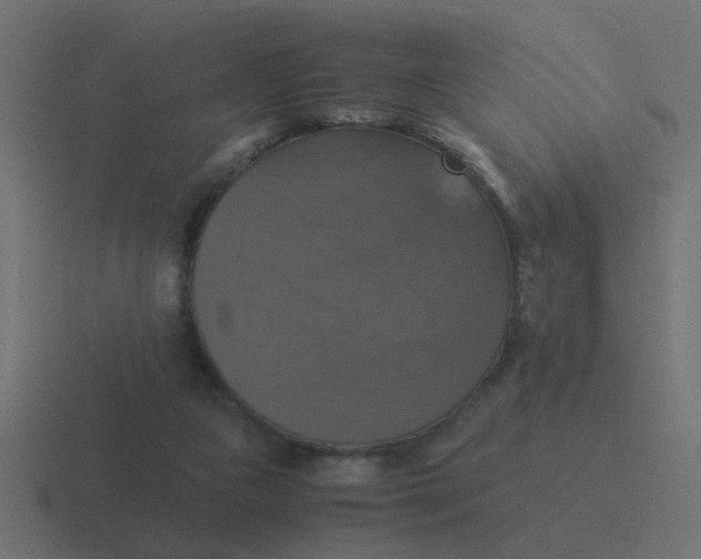 X0000116420161200912291855