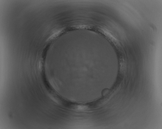 X0000116420165200912291856