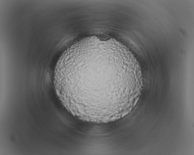 X0000116420166200912291856