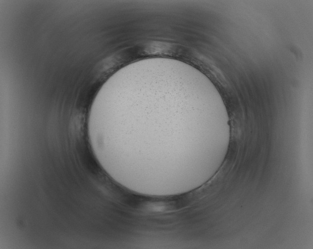 X0000116420171200912291856