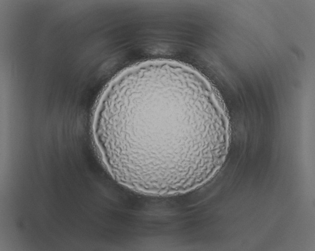X0000116420175200912291856