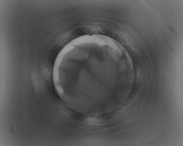 X0000116420177200912291856
