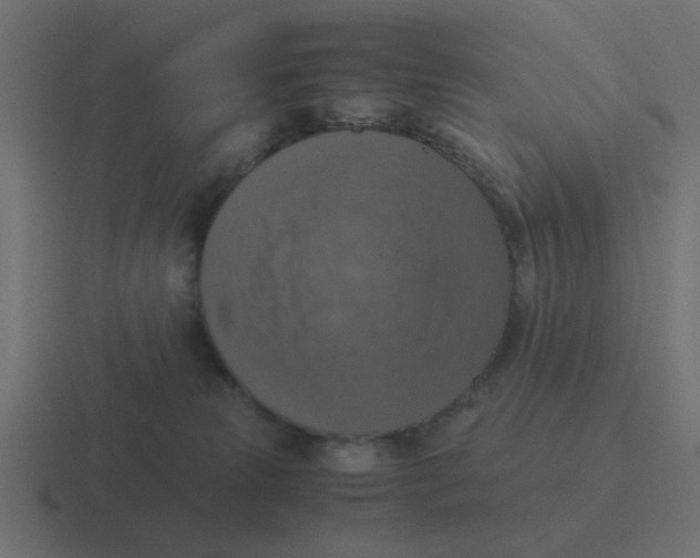 X0000116420181200912291856