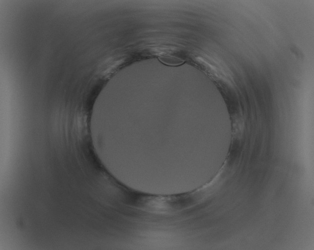 X0000116420182200912291856